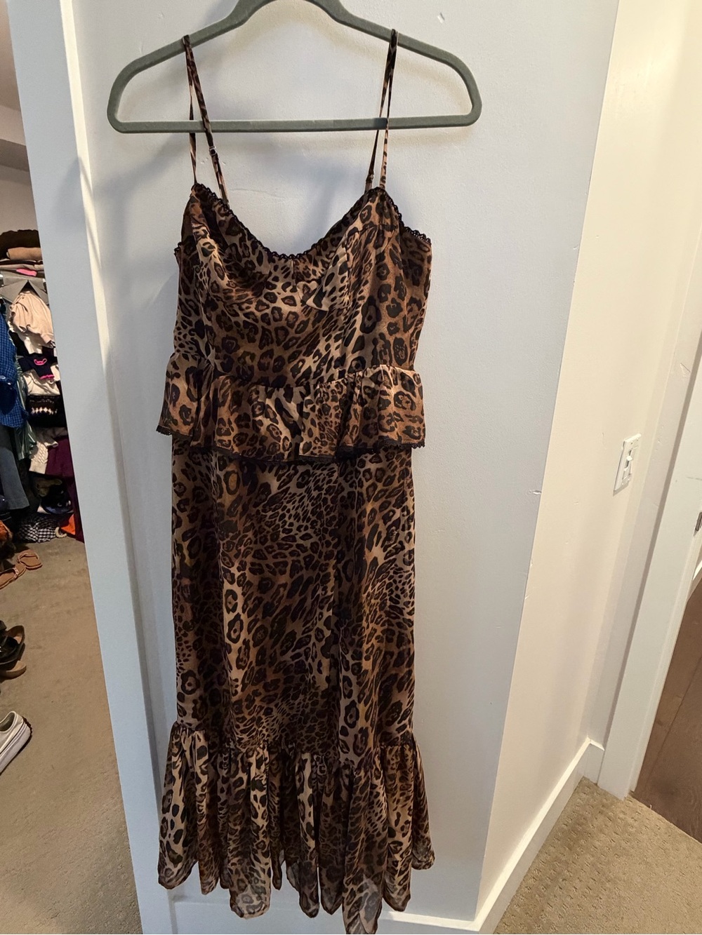 Vici Leopard-Print Brown Maxi Slip Dress